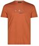 CMP PRIMAVERA/ESTATE 2025-T-shirt uomo drirelease-RUGGINE
