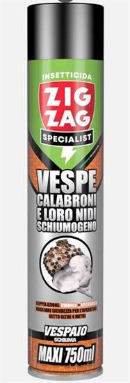 Vespe Calabroni e L oro Nidi Schiumogeno